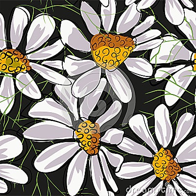 Flower seamless pattern. Field herbs daisy textile print decoration on vintage dark black background. Fashion traditional Vector Illustration