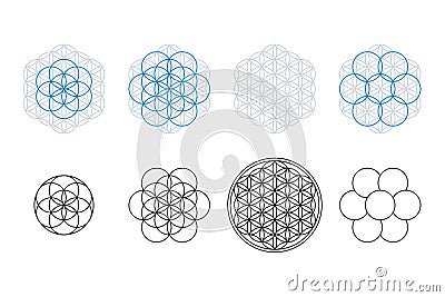 Flower of Life, Seed and Egg of Life, development Vector Illustration