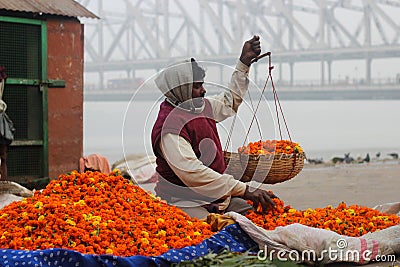 A flower seller weighing marigolds for sale. Editorial Stock Photo