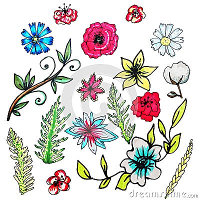 Flower set drawn by hand.Isolated flowers.Liliya, cornflower, chamomile, poppy, cotton, green branches Stock Photo