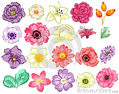 Flower set Vector Illustration