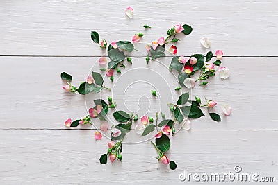 Flower shop background, roses circle on white wood Stock Photo