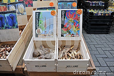 Flower shop bazaar market is the most popular in Amsterdam Editorial Stock Photo