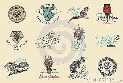 Flower shop emblems and Bright logo. Vintage bouquet. Gardening signs and beauty retro label. Hand drawn badges. Floral Vector Illustration