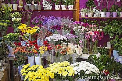 Flower shop Stock Photo