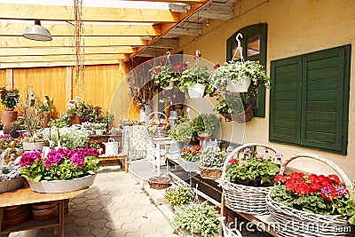 Flower Shop Interior Stock Photo