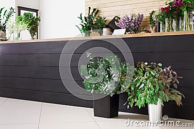 Flower shop interior, small business of floral design studio Stock Photo