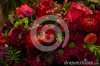 Flower shop prepared flower bloom, florist work with ranunculs, red Stock Photo