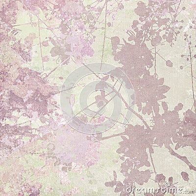 Flower Silhouette Print on Pastel Background Stock Photo