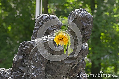 Flower At The Slavery Monument At Amsterdam The Netherlands 2-7-2021 Stock Photo