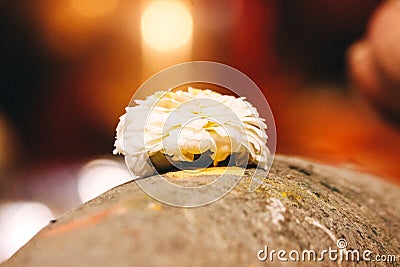 Flower and Stone For Seven Steps Ceremony Stock Photo