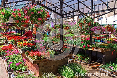 Flower street market in Latvia, Riga, June 5, 2017 Editorial Stock Photo