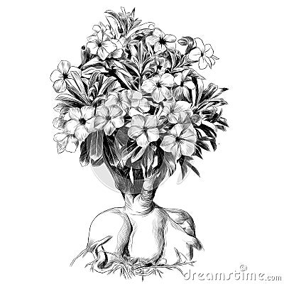 Flower tree adenium desert rose sketch vector Vector Illustration