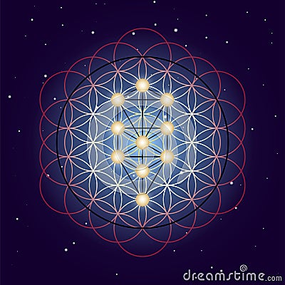 Flower and Tree of Life, sacred geometry on starry sky background Vector Illustration