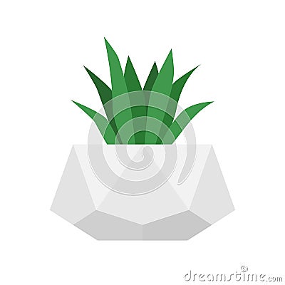 Flower in trendy geometric concrete pot. Vector isolated succulent plant. Home gardening Vector Illustration