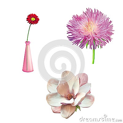 Flower in the vase, spring blooming, pink flowers Stock Photo