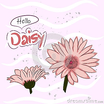 Vector illustration Light Pink Daisy Vector Illustration