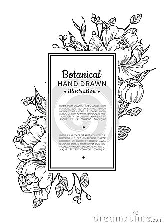 Flower vintage border. Vector peony and roses botanical drawing. Vector Illustration