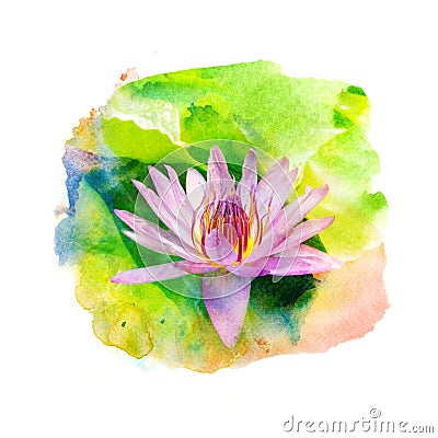 Flower watercolor illustration. Cartoon Illustration