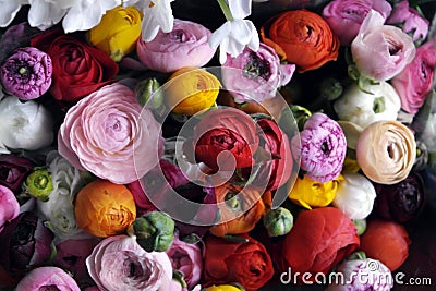 Flower wedding arrangement with ranunculus, pion, roses Stock Photo