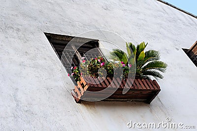 Flower window box Stock Photo