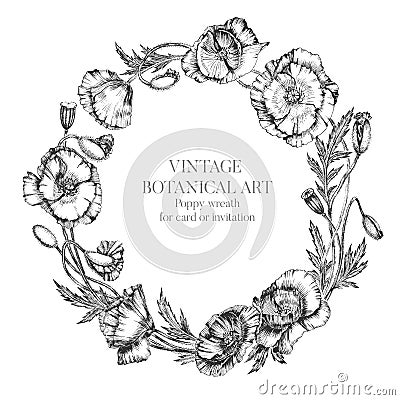 Flower wreath of poppy flowers, buds and leaves. Botanical hand drawn realistic illustration with indian ink. For artwork, invitat Vector Illustration