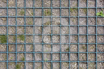 Flowerbed with blue checkered partitions with dry and green grass in gray ground. top view . rough surface texture Stock Photo