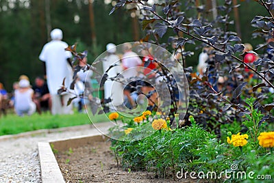 Flowerbed in park Stock Photo