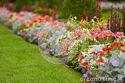 Flowerbed in park Stock Photo