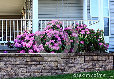 Flowerbed Porch Retailing Wall Stock Photo