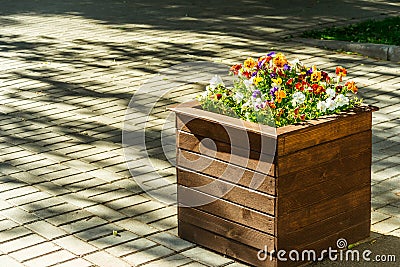 Flowerbed Stock Photo