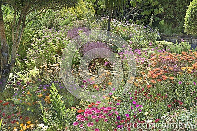 Flowerbeds Abbey Garden, Tresco Stock Photo