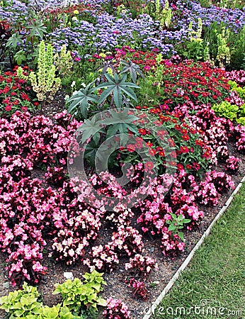 Flowerbeds with annuals Stock Photo