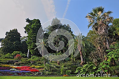 The flowerbeds in an exotic park Stock Photo