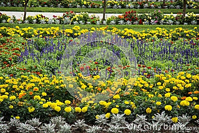 Flowerbeds in the garden Stock Photo