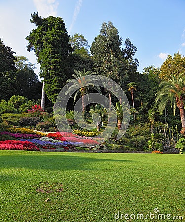 The flowerbeds in the park Stock Photo