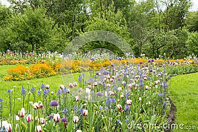 Flowerbeds in Park Stock Photo
