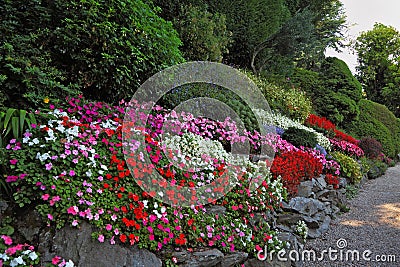 The flowerbeds and path Stock Photo