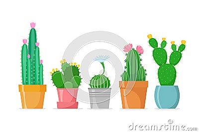 Flowered cactus set in a flat style. Different home cacti in pots. Blossomed house succulents. Isolated vector Vector Illustration