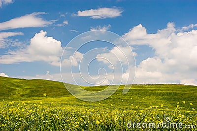 Flowered Tuscan Landscape Stock Photo