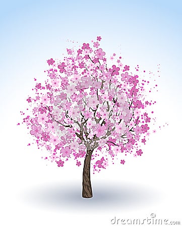 Flowering cherry tree Vector Illustration