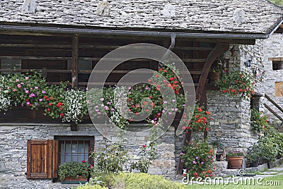 flowering geraniums in front of a typical Walser-style alpine house Stock Photo