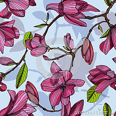 Flowering magnolia, pink color. Hand drawn colorful seamless pattern with blooming flowers. vector wallpaper. Vector Illustration