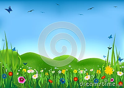 Flowering Meadow Vector Illustration