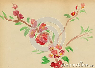 Flowering plum Stock Photo
