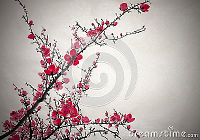 Flowering plum branch Stock Photo