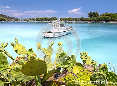 Flowering prickly pear Opuntia bushes and fishing boats in the marina of the resort town of Methana in the Peloponnese in Greece Stock Photo