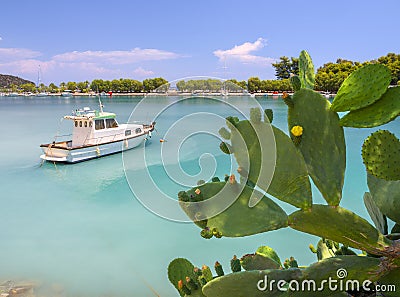 Flowering prickly pear Opuntia bushes and fishing boats in the marina of the resort town of Methana in the Peloponnese in Greece Stock Photo