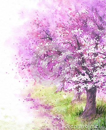 Flowering Sakura tree. Cartoon Illustration