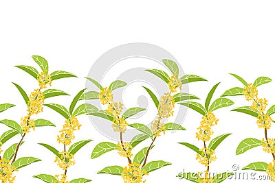 Flowering tree background and borders with fragrant tea olive, sweet olive or osmanthus fragrans. Floral tree frame border. Vector Illustration